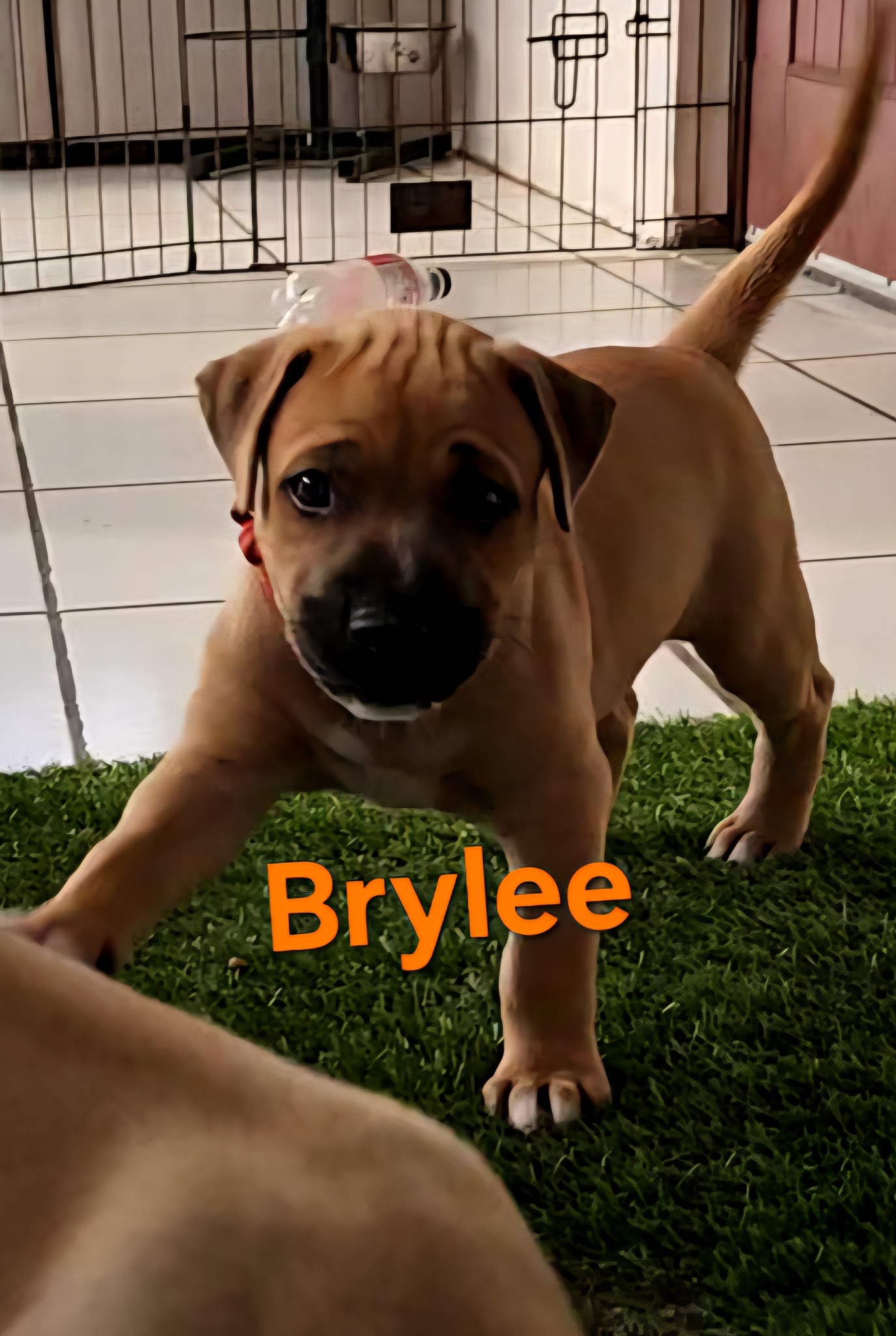 559739524 1384755036992639 866560968260159380 n