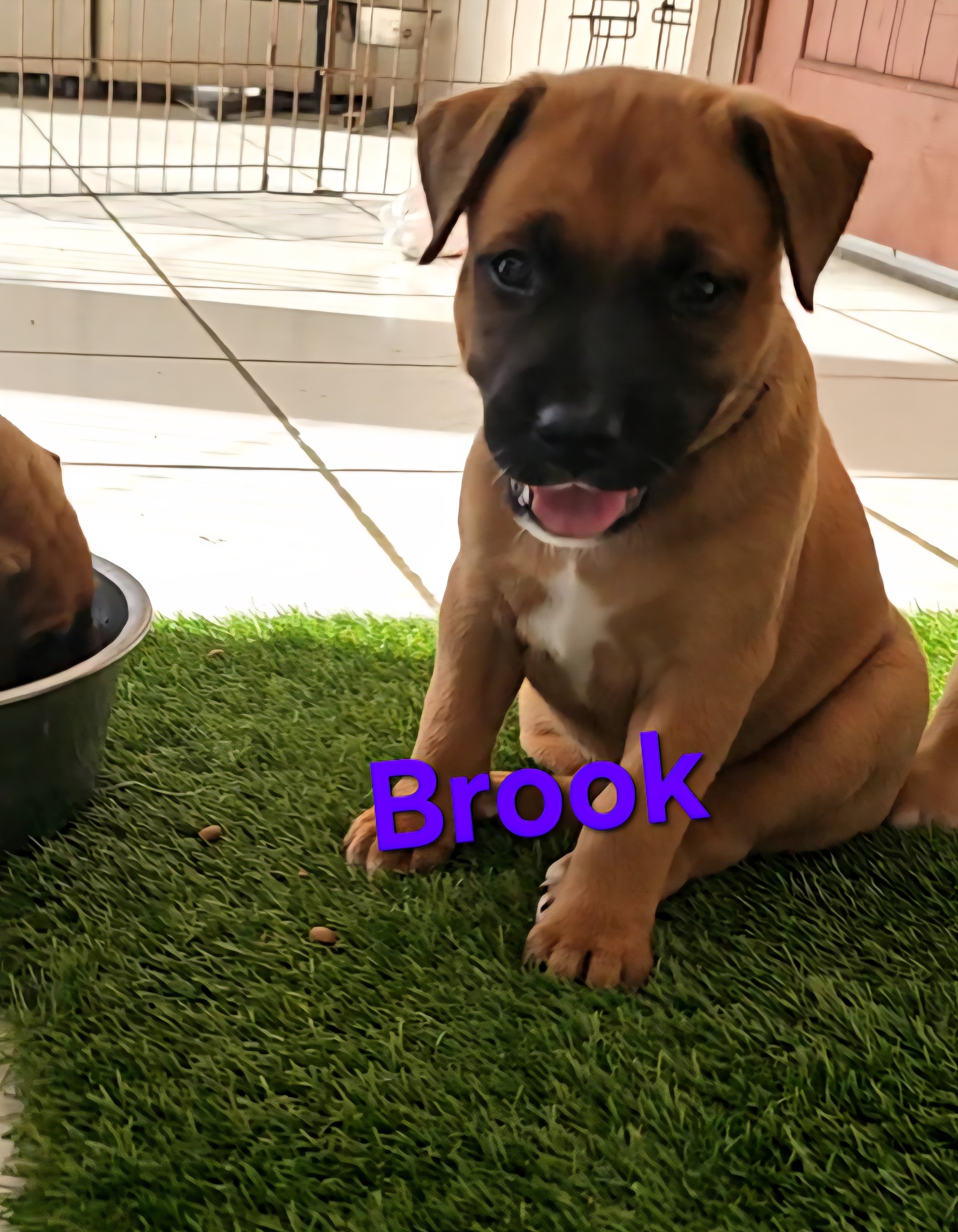 568203713 1384754923659317 7900590064167292295 n