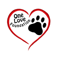 One Love Foundation
