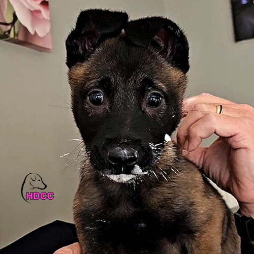 It's so much fun fun with yogurt